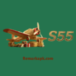 S55 Game